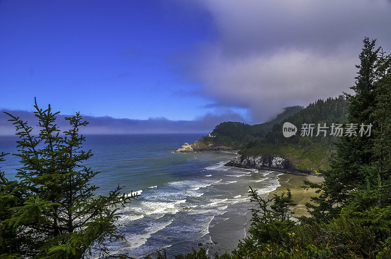 太平洋和俄勒冈海岸/海滩-沙子，冲浪，和茂密的森林